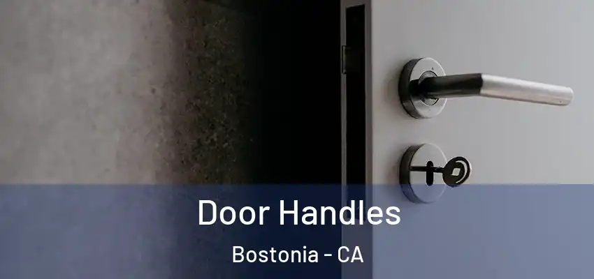 Door Handles Bostonia - CA