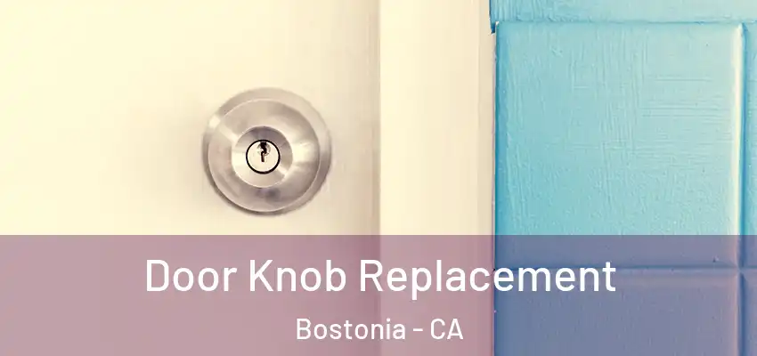 Door Knob Replacement Bostonia - CA