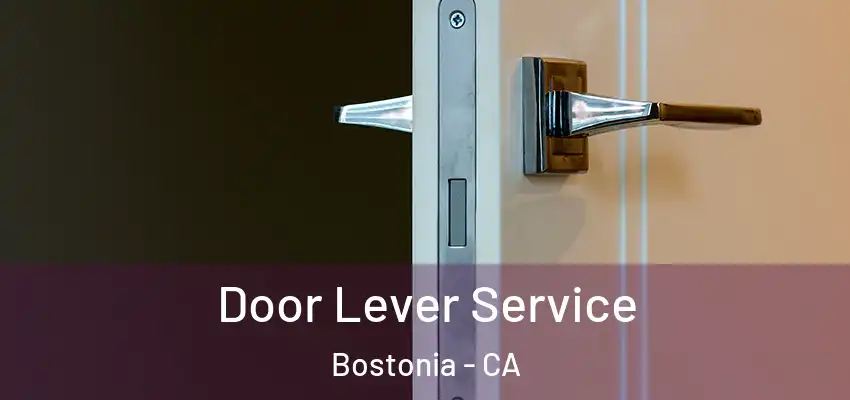  Door Lever Service Bostonia - CA