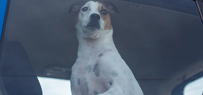 Car Lockout Solutions in Bostonia, California