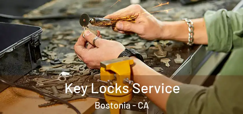  Key Locks Service Bostonia - CA
