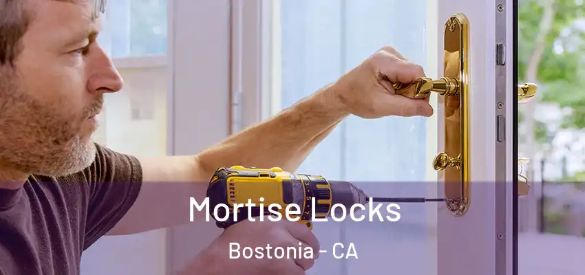  Mortise Locks Bostonia - CA