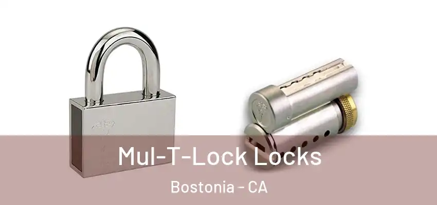 Mul-T-Lock Locks Bostonia - CA