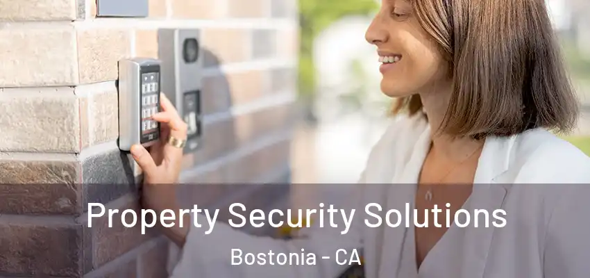  Property Security Solutions Bostonia - CA